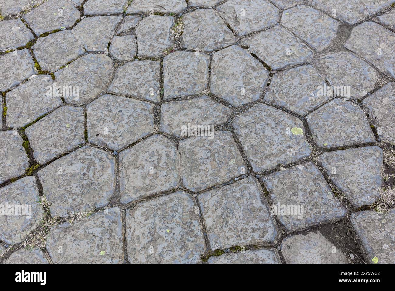 Monumento naturale di Kirkjugolf (il pavimento della chiesa), colonne esagonali di basalto formazione rocciosa nella città di Kirkjubaejarklaustur nell'Islanda meridionale, primo piano. Foto Stock