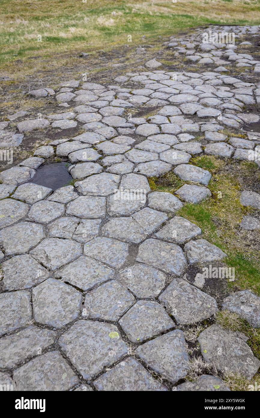 Kirkjugolf Natural Monument (il pavimento della chiesa), colonne di basalto formazione rocciosa nella città di Kirkjubaejarklaustur nel sud dell'Islanda. Foto Stock