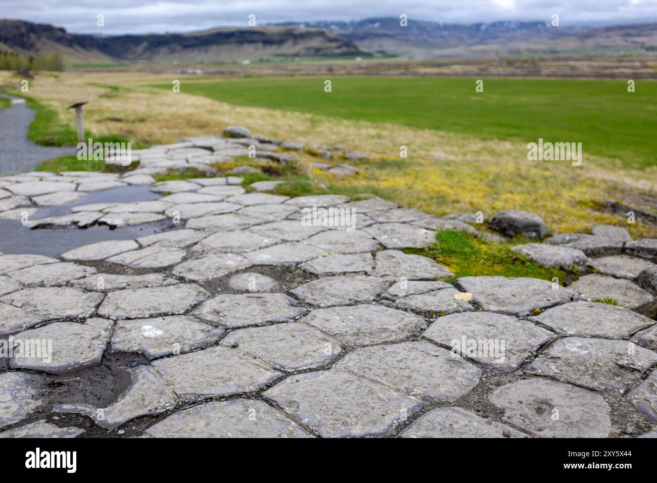 Kirkjugolf Natural Monument (il pavimento della chiesa), colonne di basalto formazione rocciosa nella città di Kirkjubaejarklaustur nel sud dell'Islanda con un paesaggio verde. Foto Stock