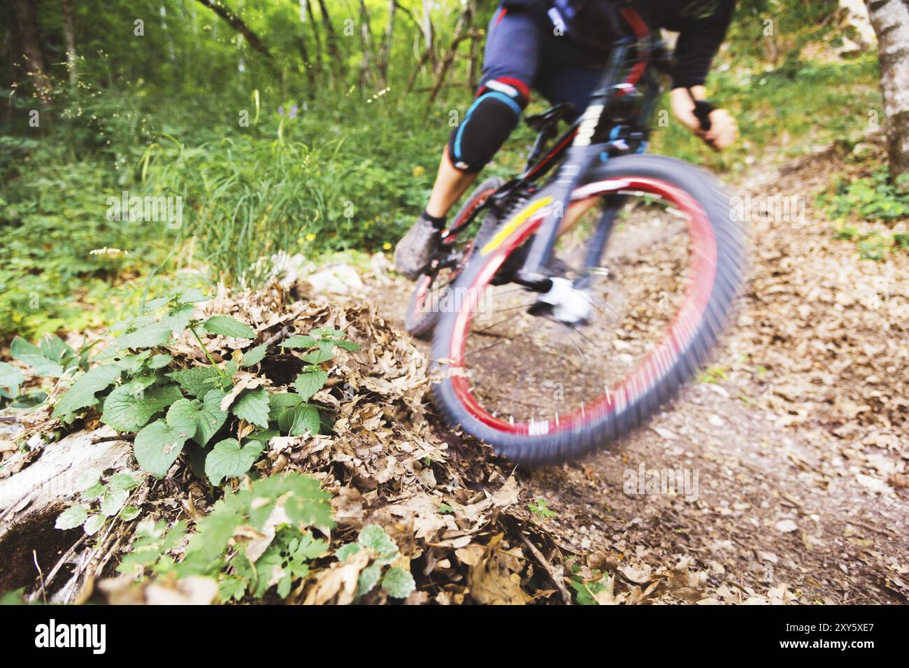 Un giovane ciclista in bicicletta per la discesa scende tra le rocce della foresta. Passaggio ad alta velocità della controrotazione con deriva sul terreno e flyi Foto Stock