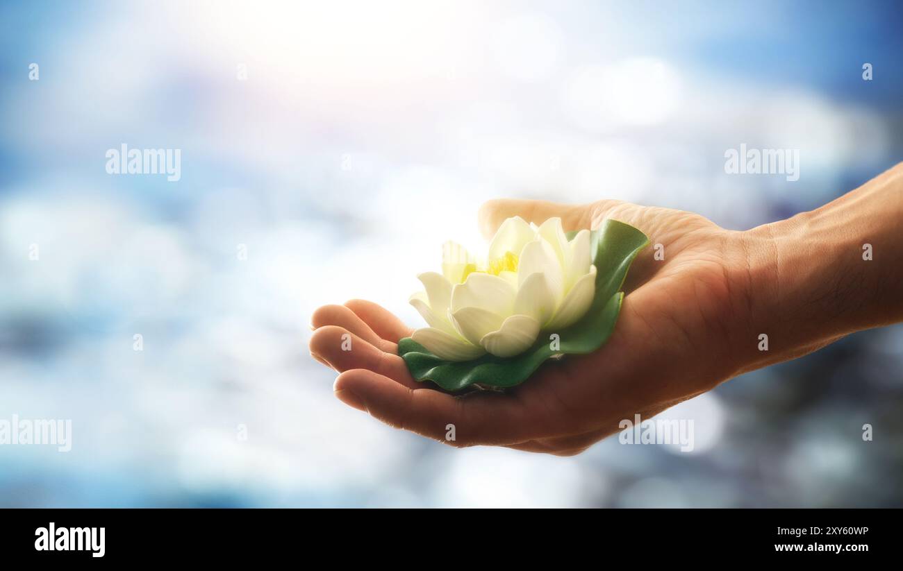 Mano che regge una giglio d'acqua bianca con fondo d'acqua. Concetto di purezza e benessere. Foto Stock