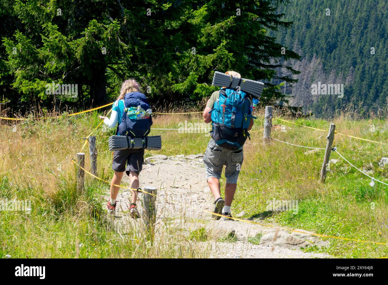 Un paio di escursionisti che camminano su un sentiero nel Parco Nazionale di Krkonose Repubblica Ceca Europa Parco escursionistico per escursionisti con zaino in spalla Foto Stock