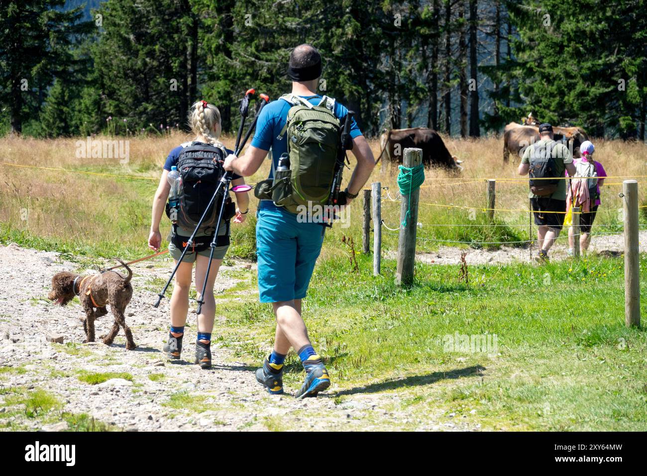 Un paio di escursionisti con un cane che camminano su un sentiero nel Parco Nazionale di Krkonose Repubblica Ceca Europa escursioni nella natura europea di Krkonose Foto Stock