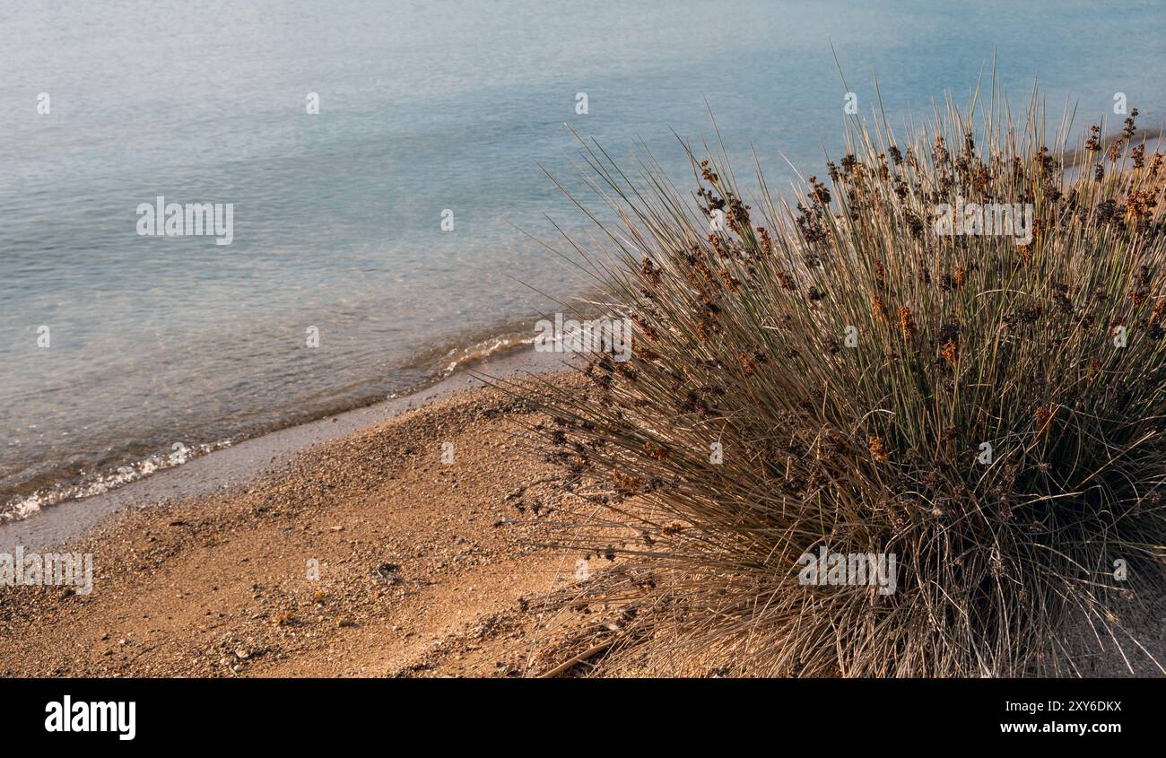 Mare ondulato, vista ravvicinata della spiaggia sabbiosa con piccoli ciottoli al tramonto. Natura greca Foto Stock