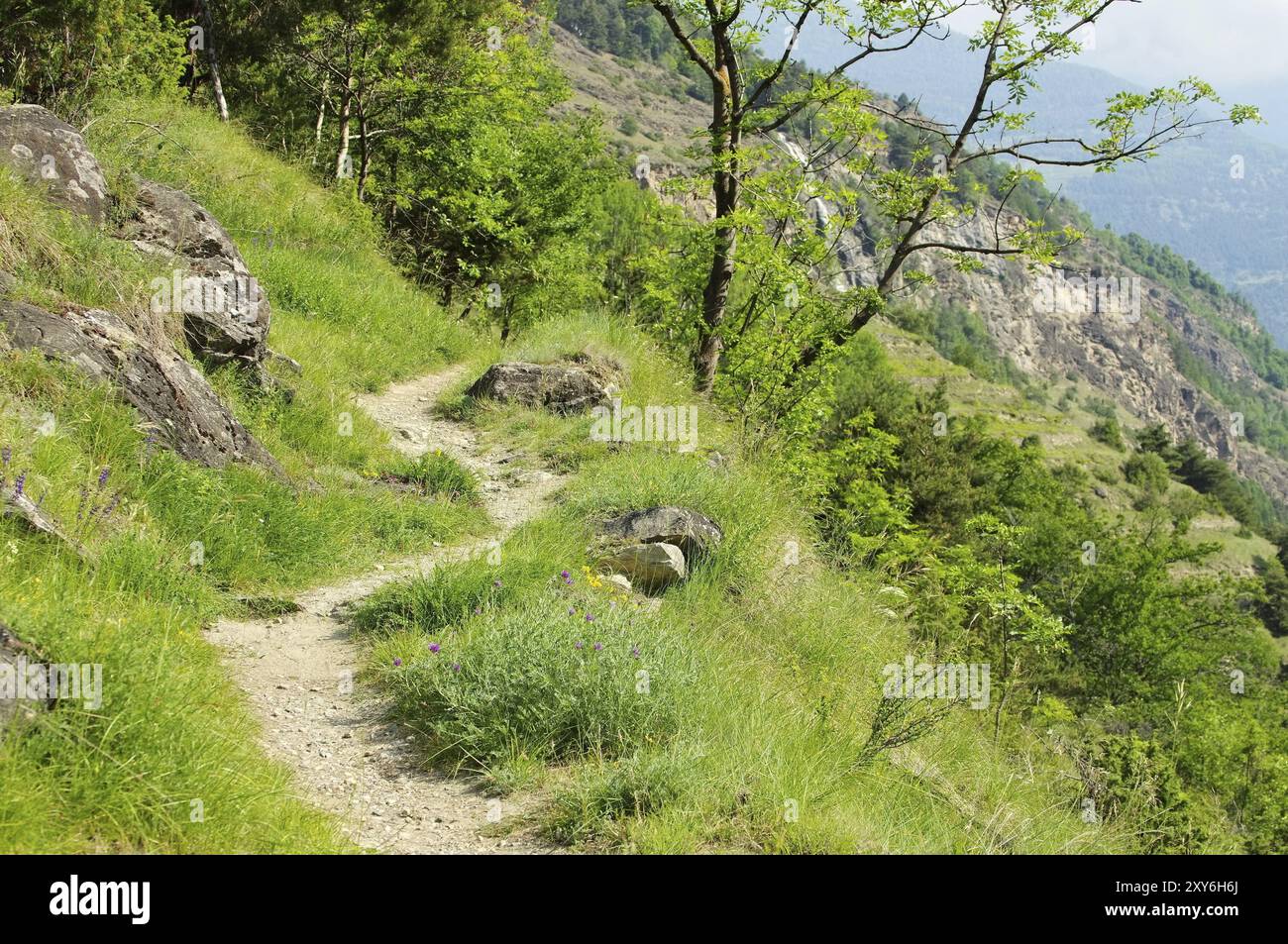 Sentiero escursionistico Valle d'Aosta, sentiero escursionistico Valle d'Aosta 01 Foto Stock