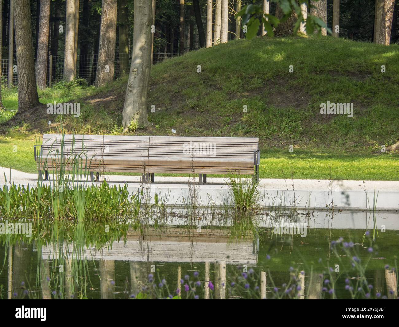 Una panchina di parco sulla riva di un corpo d'acqua, circondata da alberi e piante, in un quartiere tranquillo, Bad Lippspringe, Germania, Europa Foto Stock