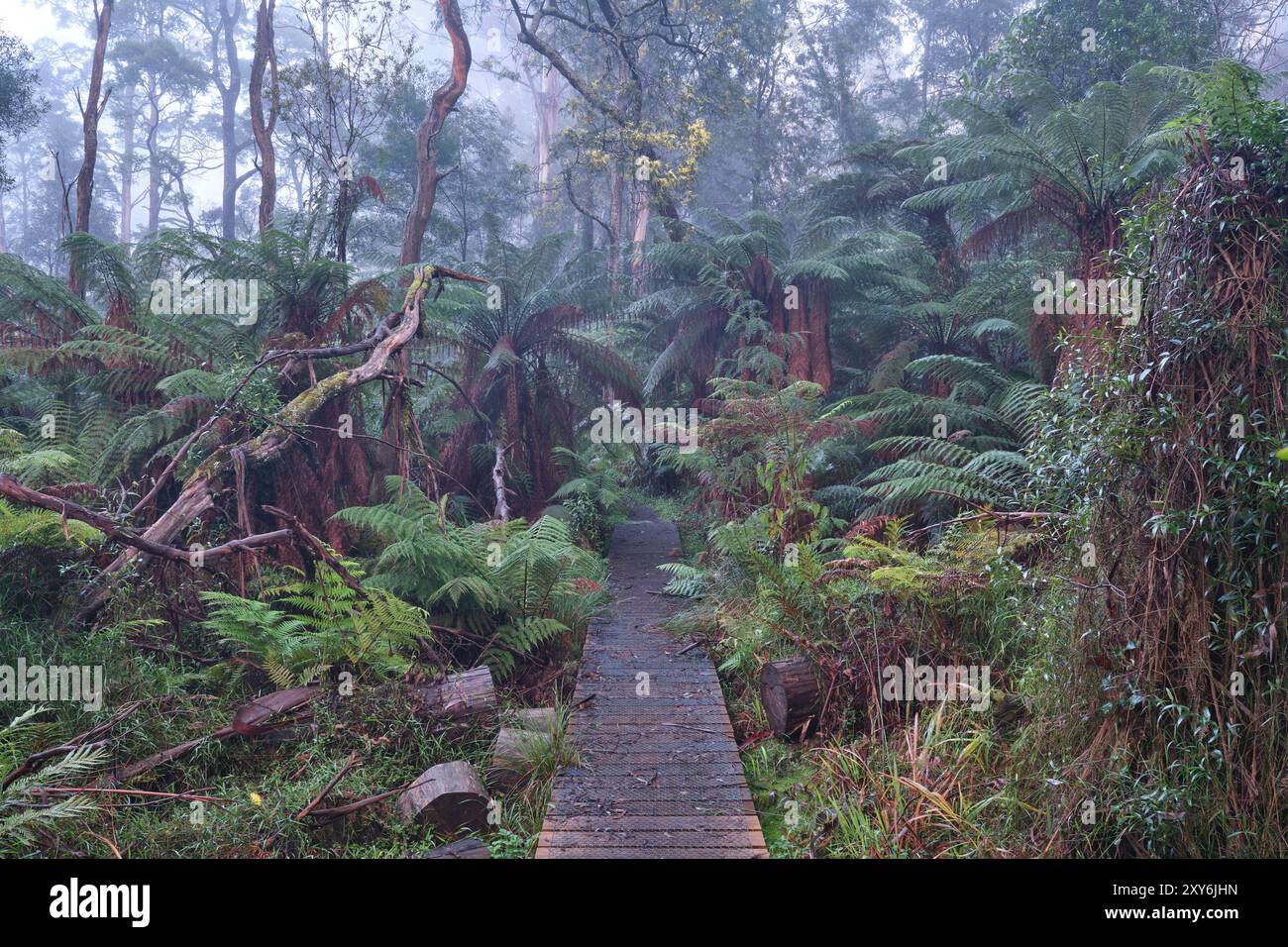 Caos cool Foto Stock