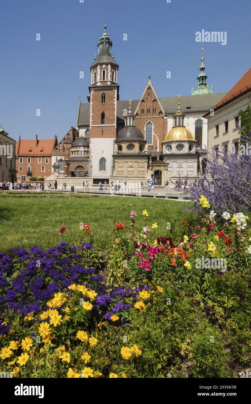 Catedral de Wawel, santuario nacional polaco, Cracovia, Polonia, europa orientale Foto Stock