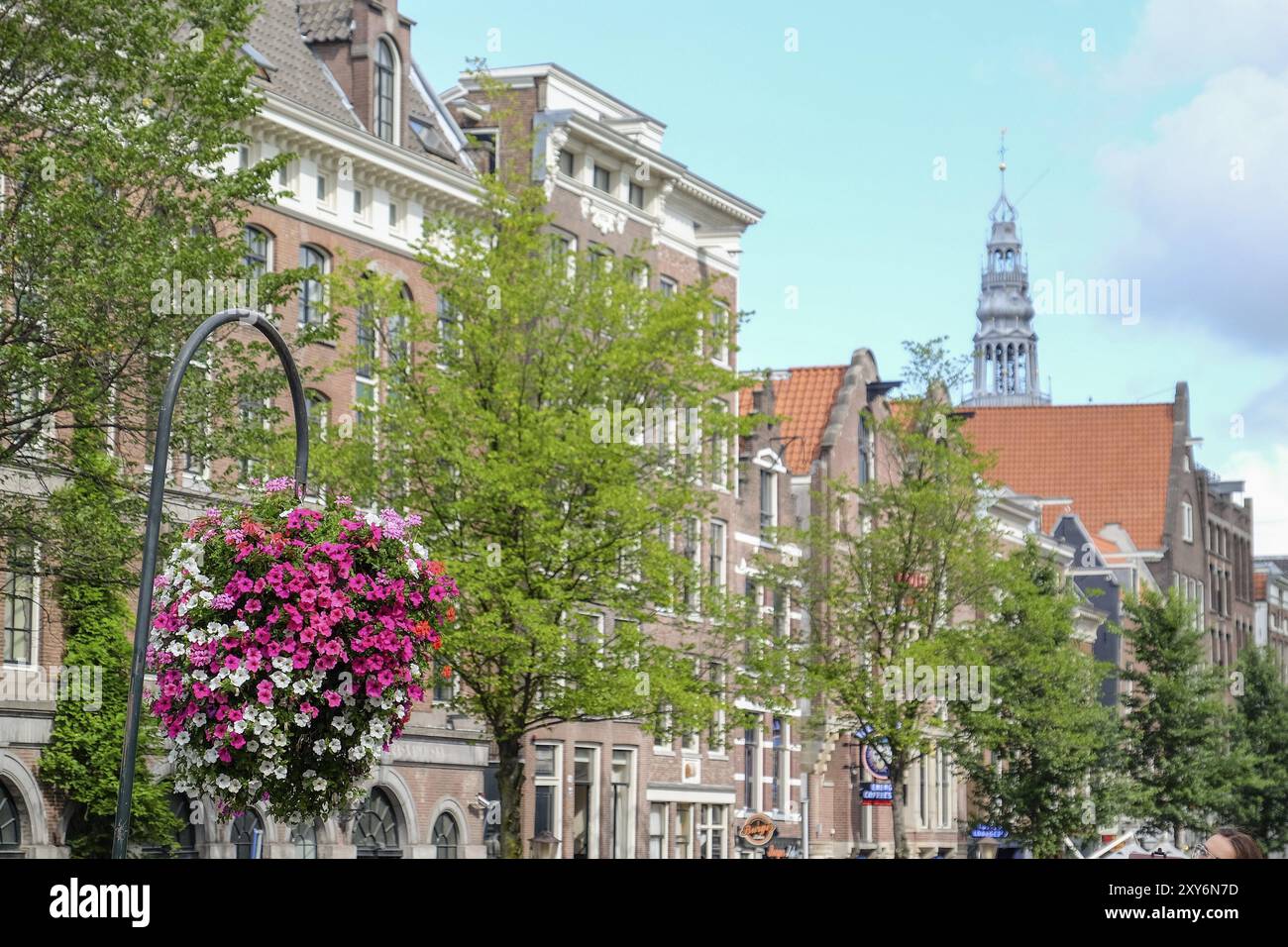 Grandi vasi di fiori appesi di fronte a una strada con edifici storici e cieli di chiese sotto un cielo blu, Amsterdam, Paesi Bassi Foto Stock