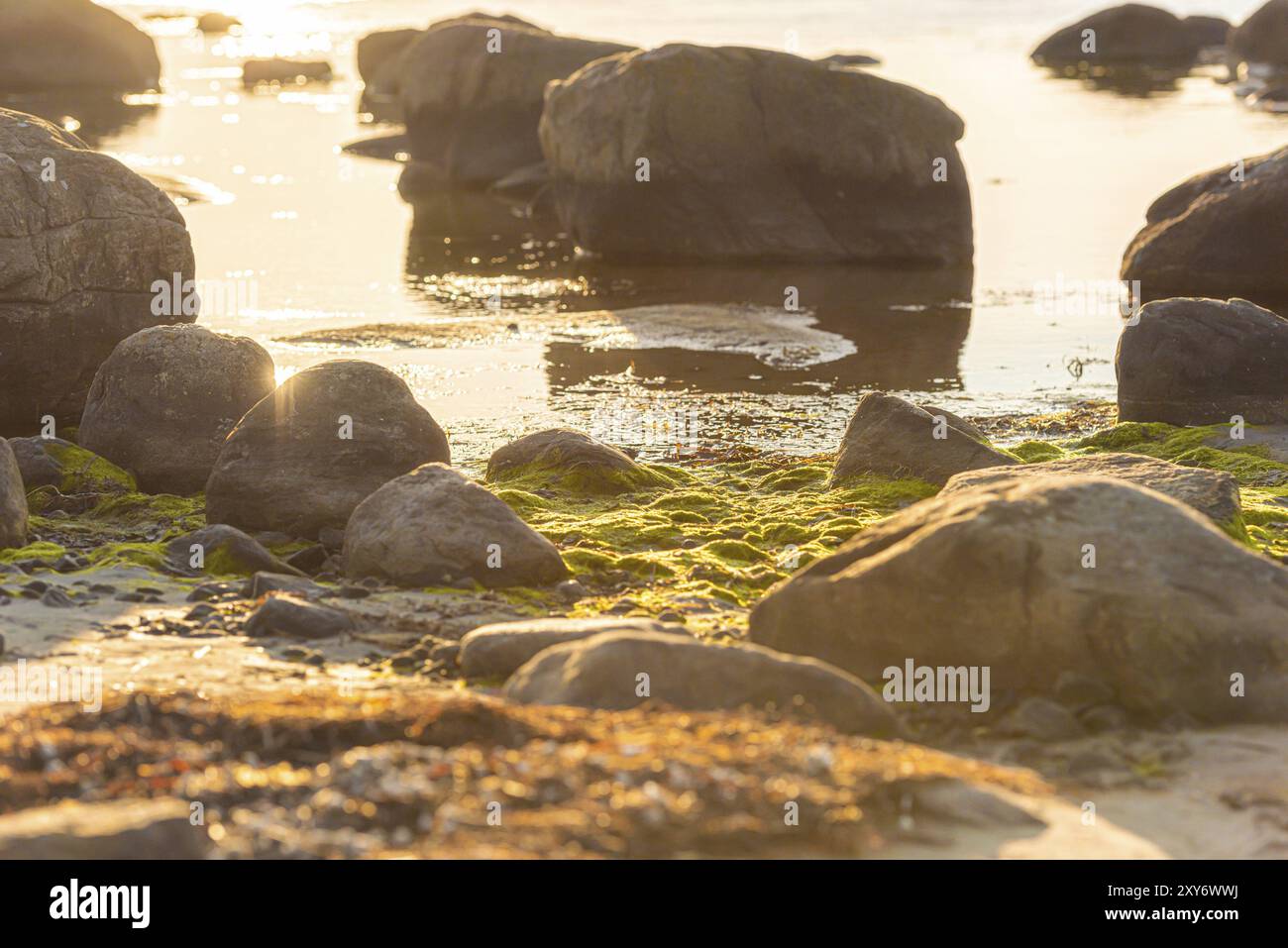 Tramonto su rocce su una spiaggia Foto Stock