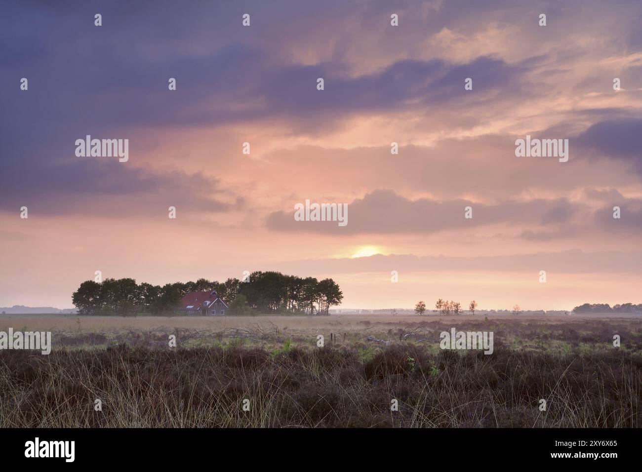 Calmo tramonto rosa su casa tra le paludi, Drenthe, Paesi Bassi Foto Stock