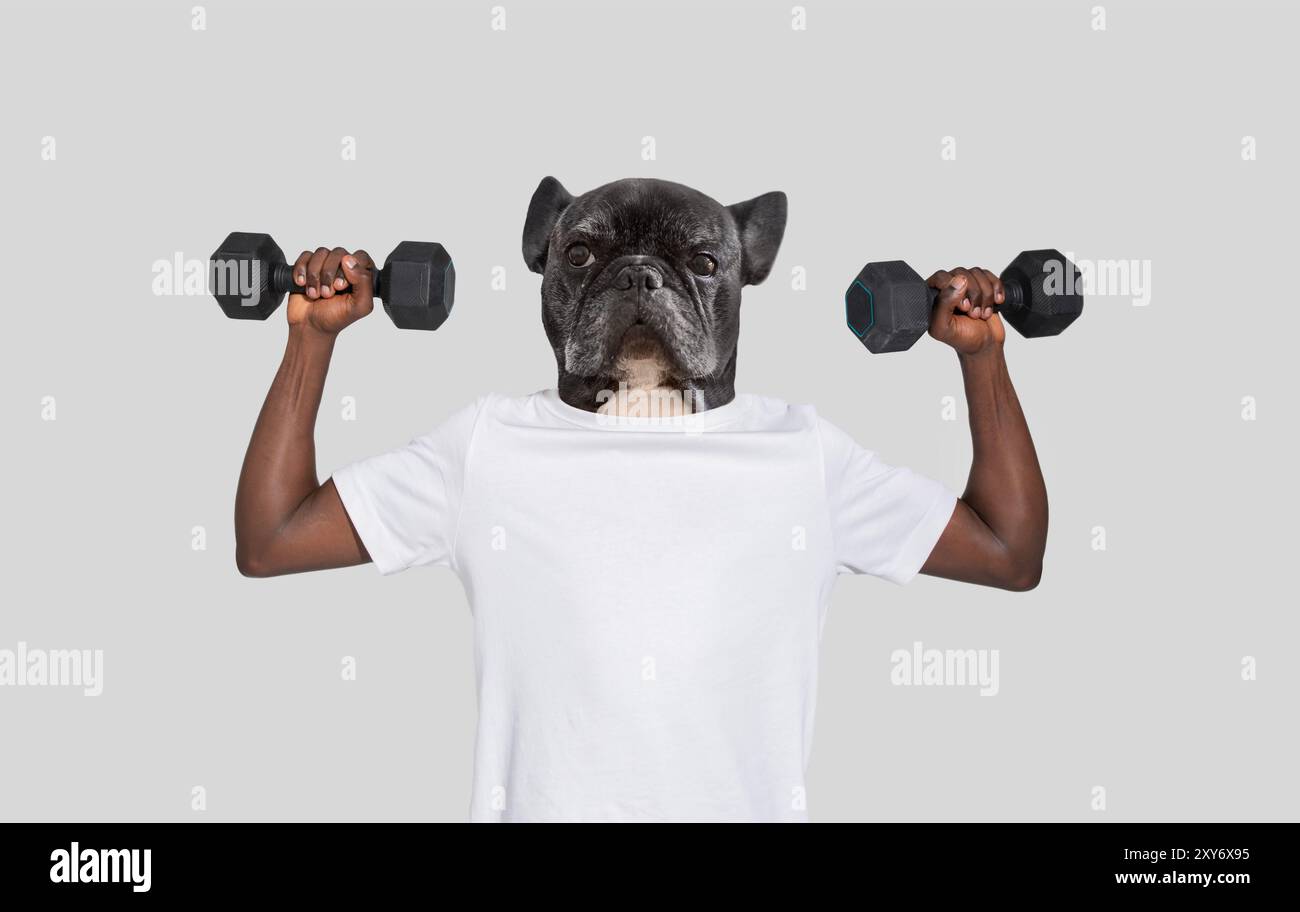 Un'illustrazione giocosa di un cane con Dumbbells Foto Stock