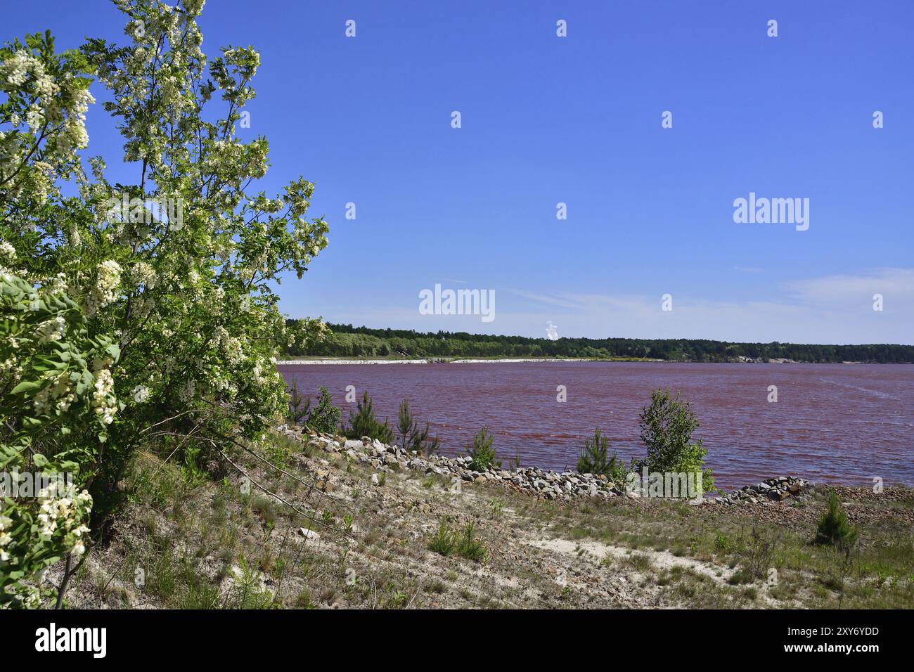 Lago Sabrodter in Sassonia. Lago Sabrodter nella Lusazia Foto Stock