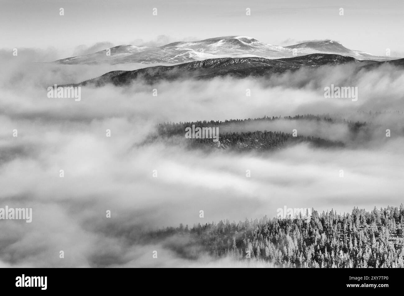 Nebbia mattutina a Engerdalsfjellet, Hedmark Fylke, Norvegia, ottobre 2011, Europa Foto Stock