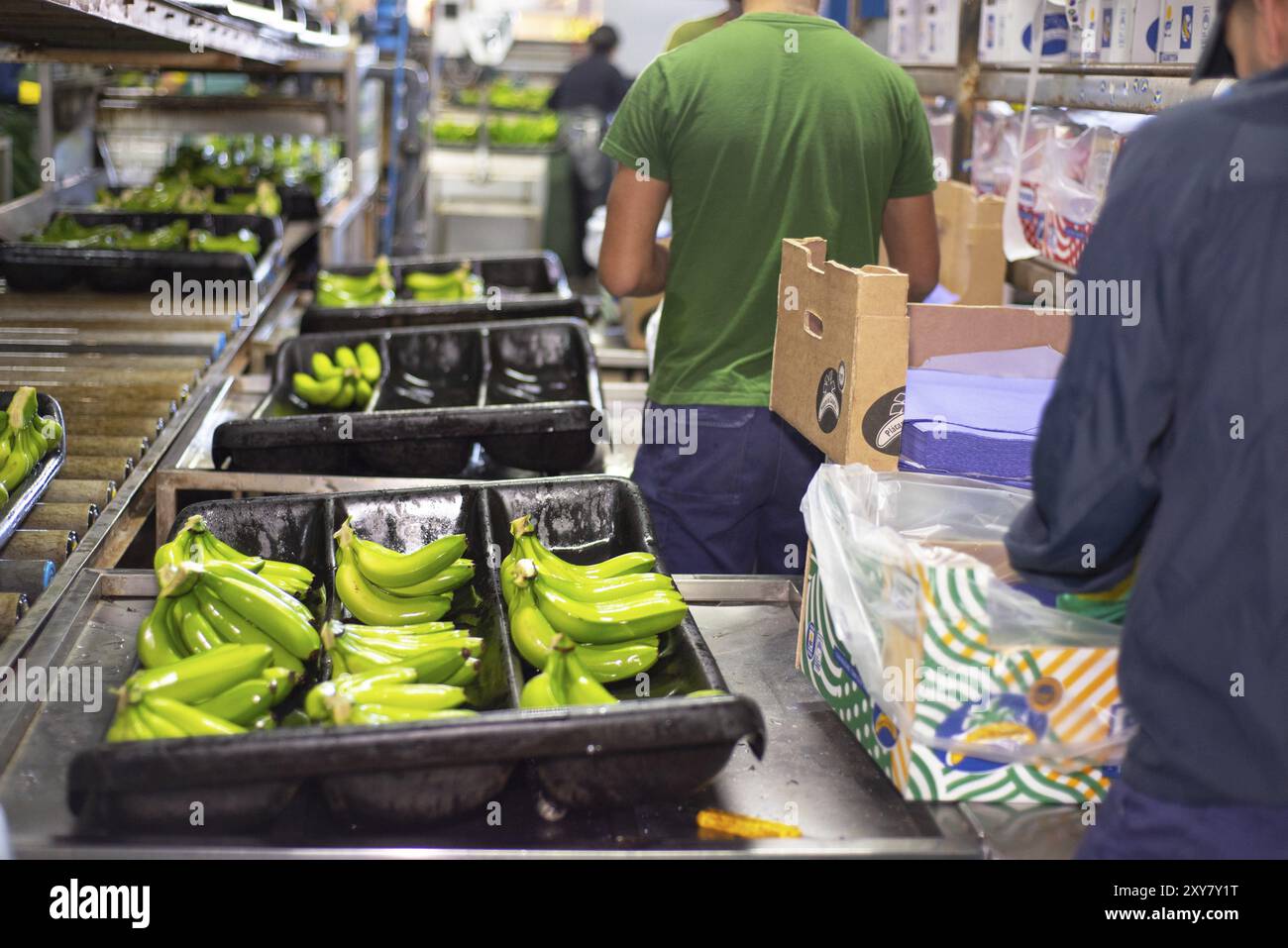 Tenerife, Spagna, 3 gennaio 2019: Etichettatrice automatizzata durante il funzionamento nell'industria del confezionamento alimentare a Tenerife, Isole Canarie, Spagna, Europa Foto Stock