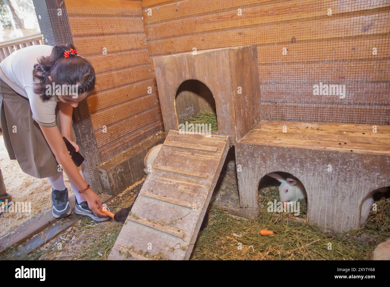 I bambini danno radici ai conigli allo zoo . Bambini in uno zoo a contatto, nutriti da conigli. La famiglia è nella fattoria. Foto Stock