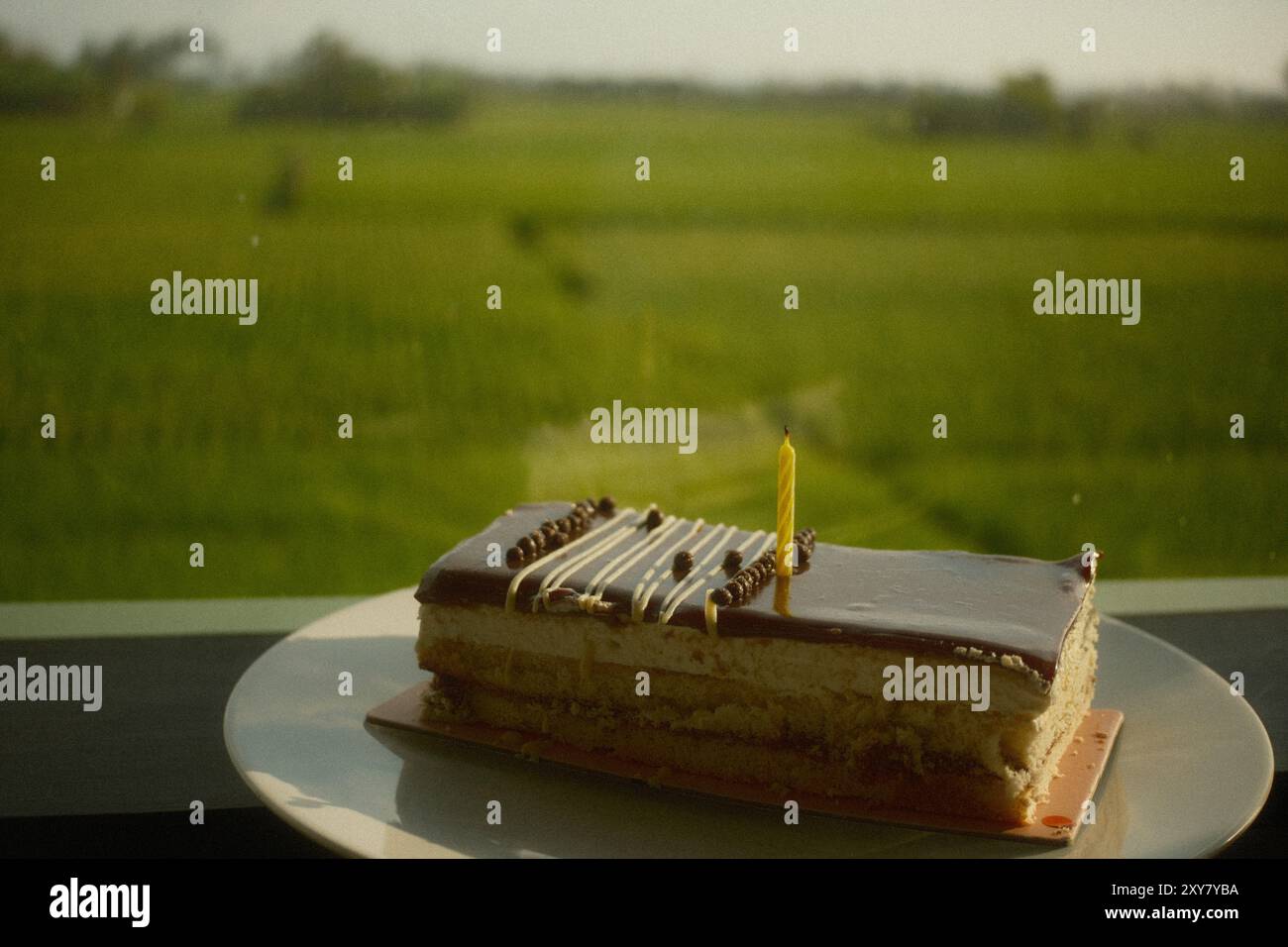Torta di compleanno con formaggio al cioccolato e candele su un piatto bianco con vista sul campo di riso Foto Stock