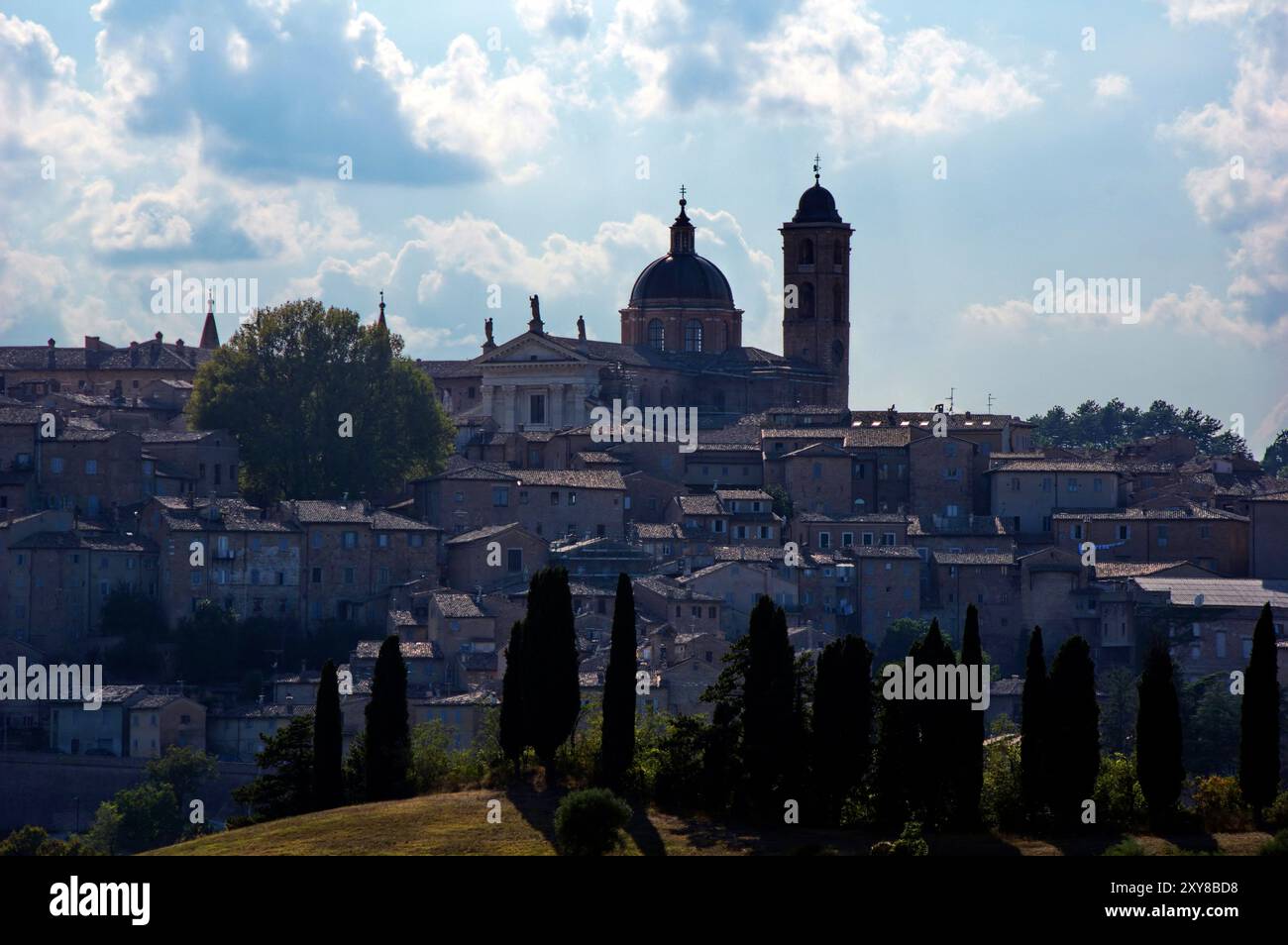 Panorama della città di Urbino con il campanile della cattedrale Foto Stock
