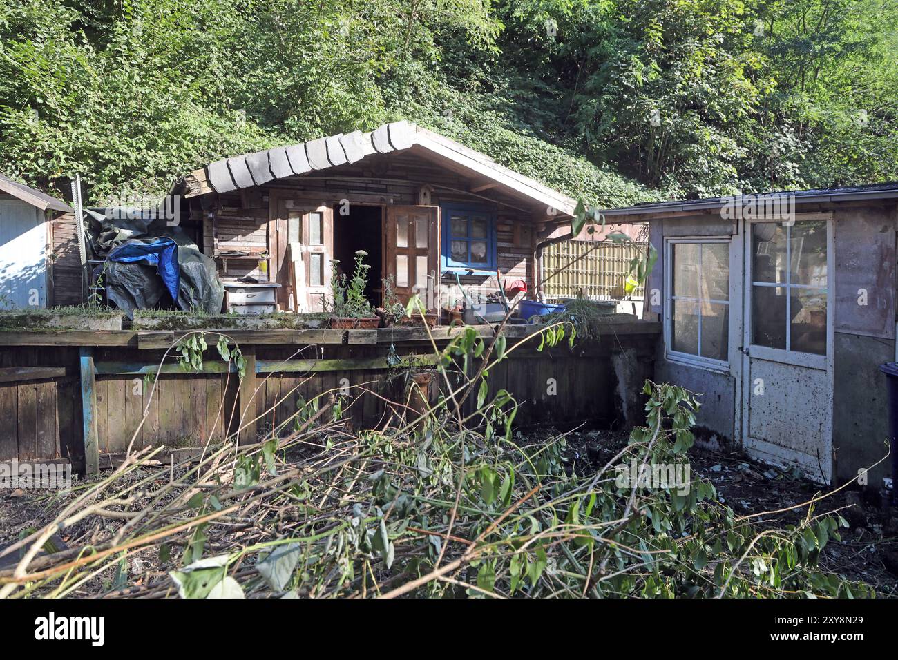 Ehemalige Gärten im Siedlungsraum Ein verfallener und verwilderter Garten wird zu einem Schandfleck und unter erheblicher Arbeit entrümpelt und neu gestaltet. *** Ex giardini nell'area residenziale Un giardino fatiscente e ricoperto diventa un palato e viene ripulito e ridisegnato con notevoli lavori Foto Stock