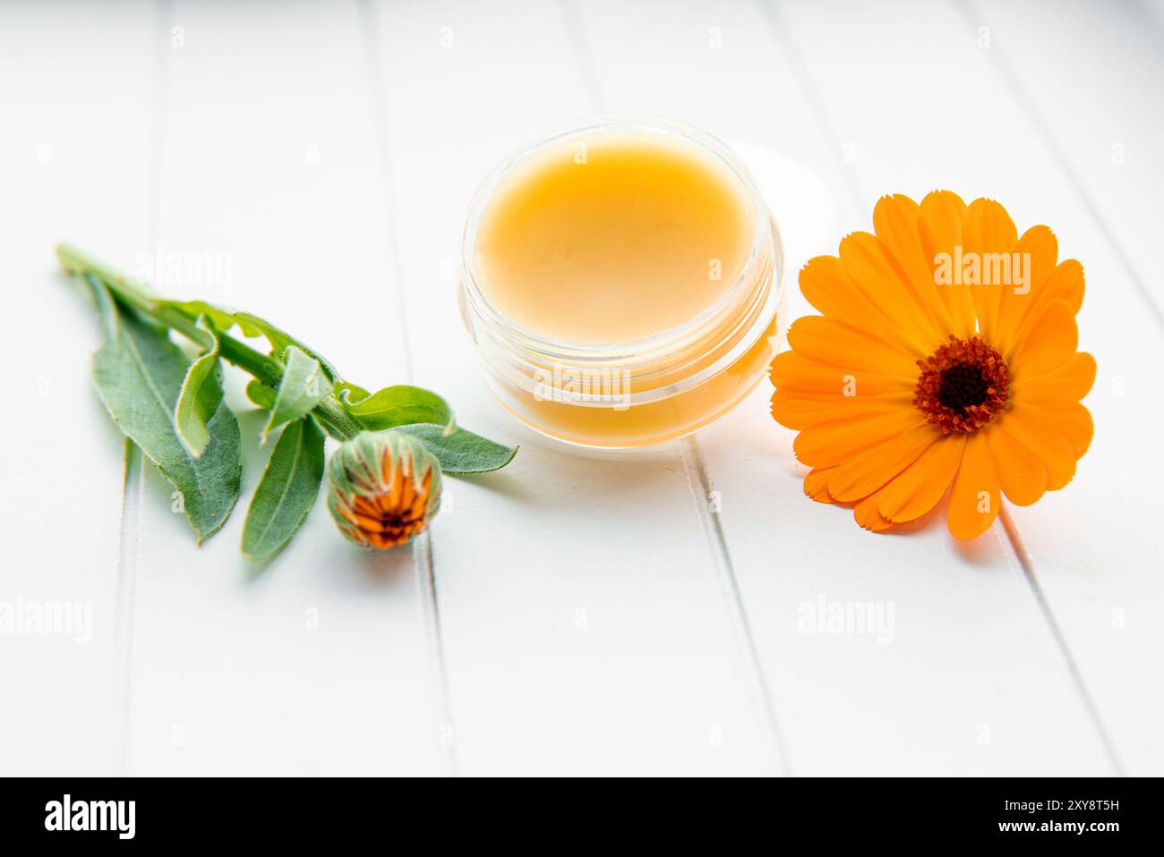 Salve fatta con Calendula officinalis, la calendula, la calendula comune, le coccole, l'oro di Maria o la calendula scozzese. Barattolo con balsamo medicinale su bianco. Foto Stock