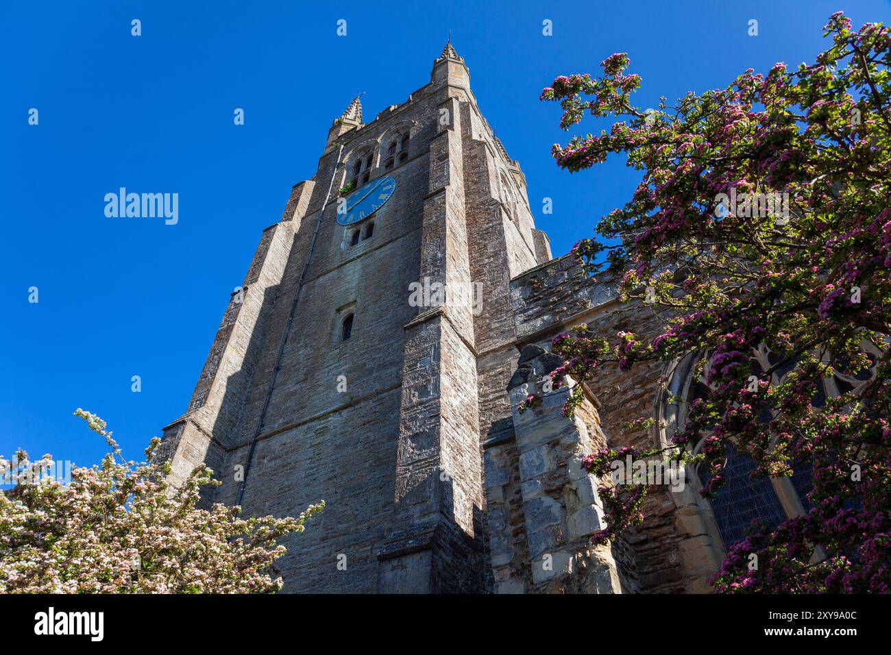 Regno Unito, Inghilterra, Kent, Tenterden, St. Mildred's Church (Bell Tower) in the Springtime Foto Stock