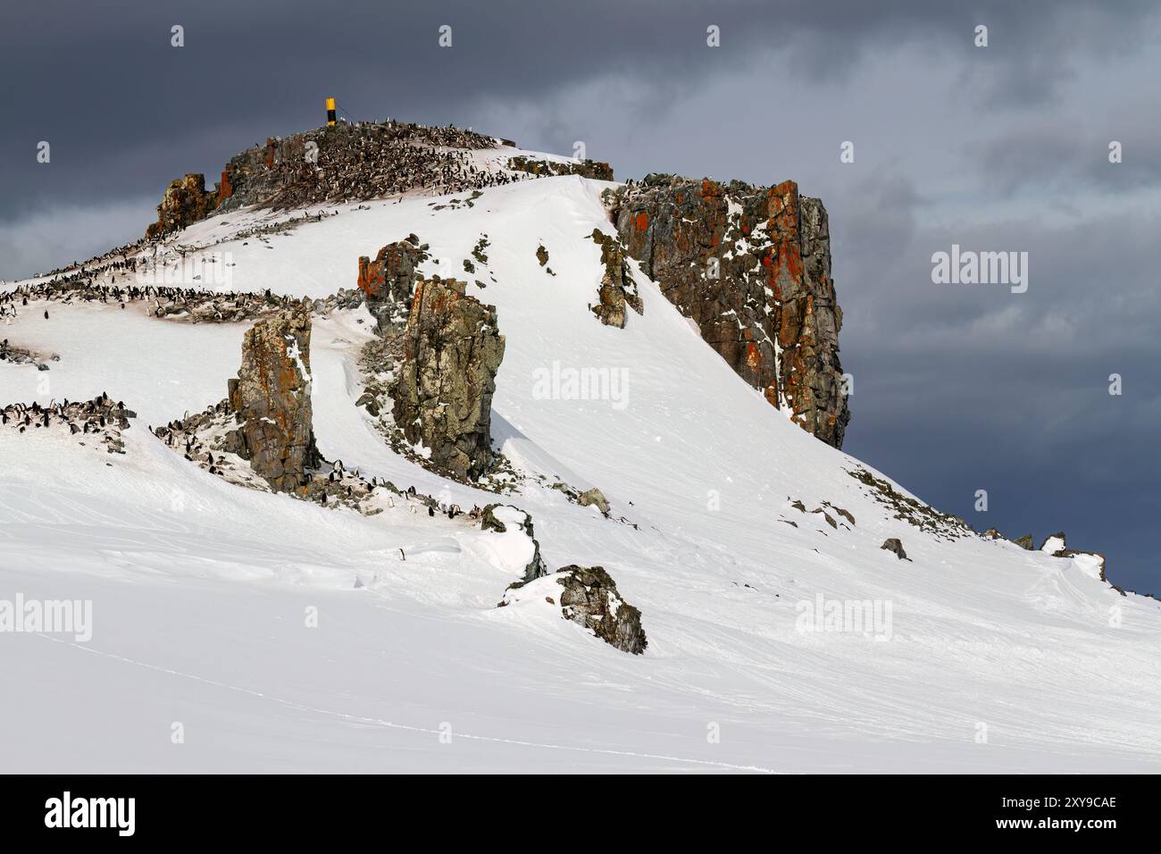 Vista dell'isola di Half Moon ricoperta di neve nel gruppo delle Shetland meridionali, Antartide, Oceano meridionale. Foto Stock