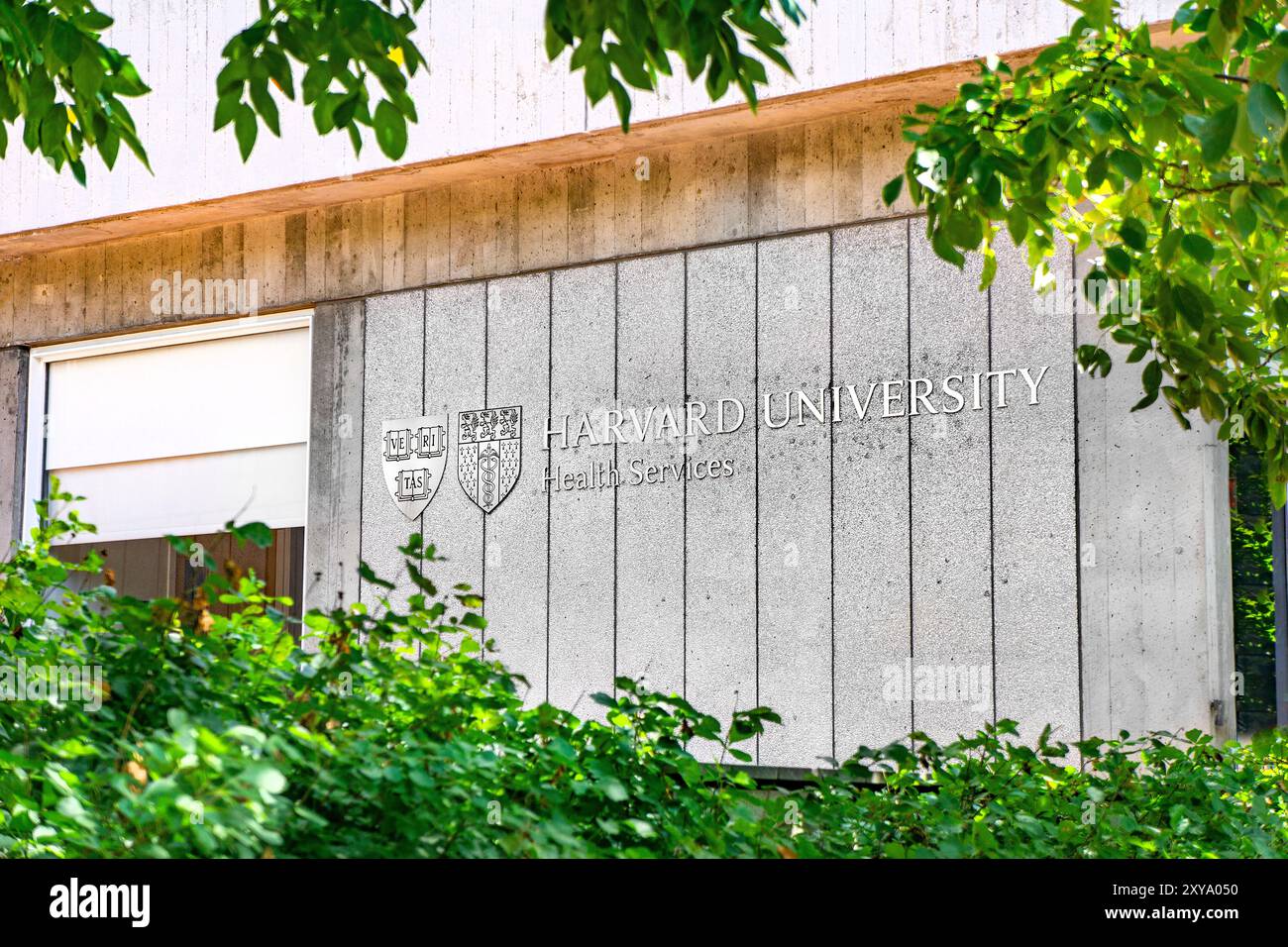 Harvard University Health Services, edificio esterno, Cambridge, Massachusetts, USA Foto Stock