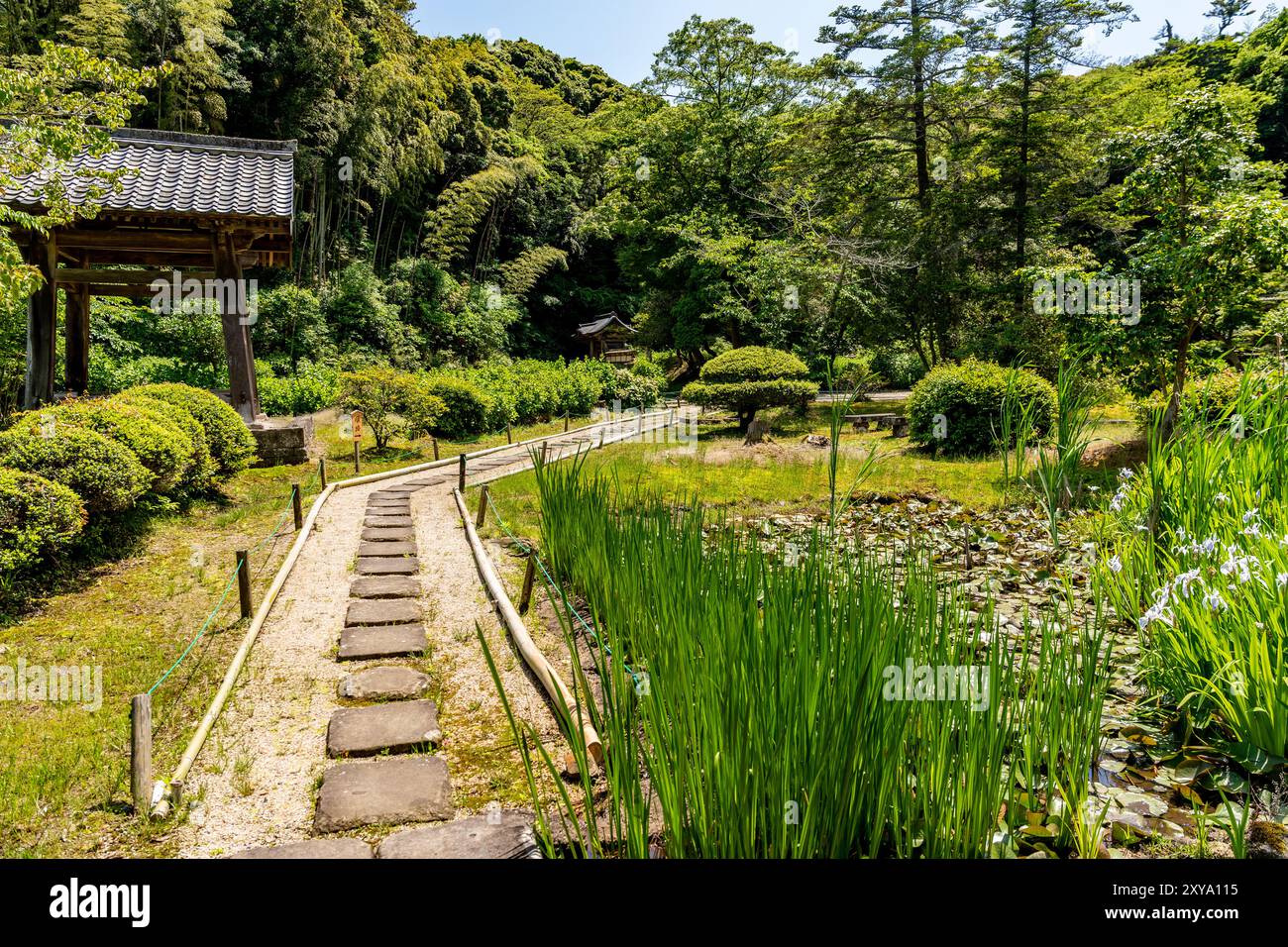 Sentiero con laghetto nel tempio di Gesshoji, chiamato anche tempio del chiaro di luna, tempio della famiglia del clan Matsudaira, a Matsue, prefettura di Shimane, Giappone Foto Stock