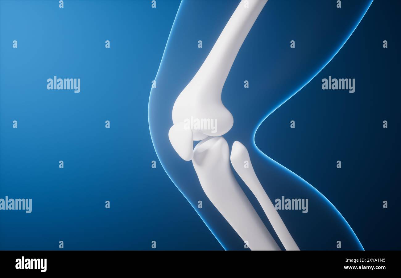 Osso della gamba nel corpo umano trasparente, rendering 3d. Illustrazione 3D. Foto Stock