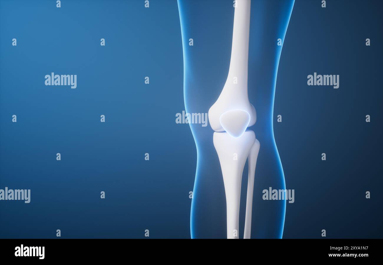 Osso della gamba nel corpo umano trasparente, rendering 3d. Illustrazione 3D. Foto Stock