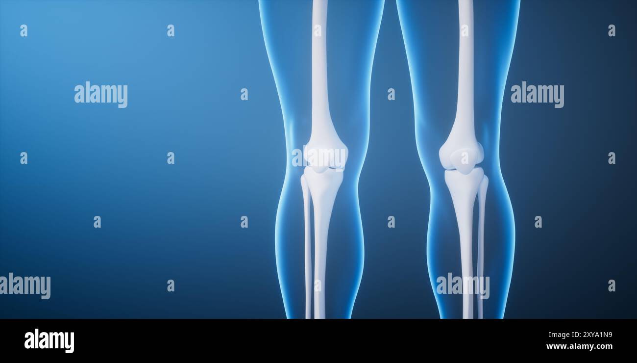 Osso della gamba nel corpo umano trasparente, rendering 3d. Illustrazione 3D. Foto Stock