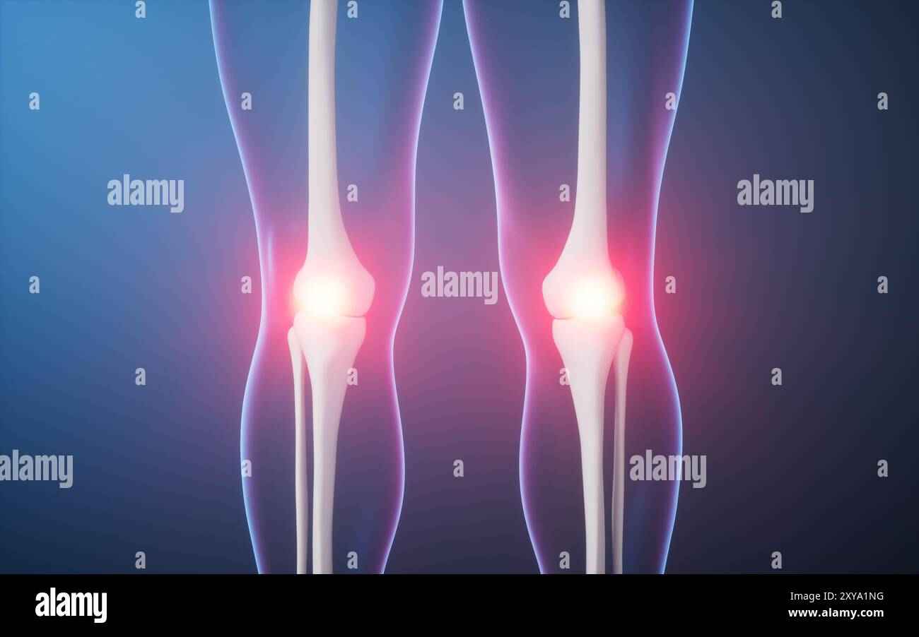Osso della gamba nel corpo umano trasparente, rendering 3d. Illustrazione 3D. Foto Stock