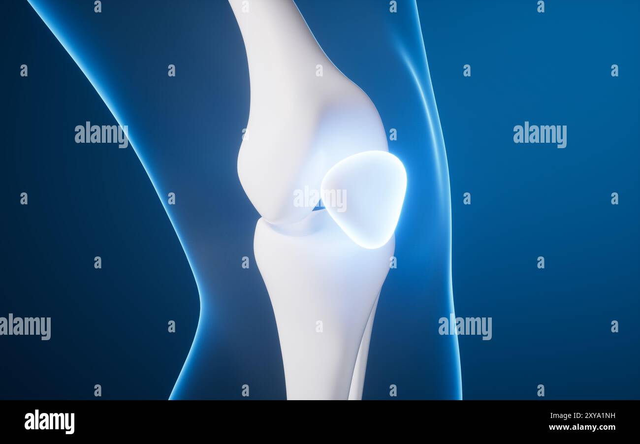 Osso della gamba nel corpo umano trasparente, rendering 3d. Illustrazione 3D. Foto Stock