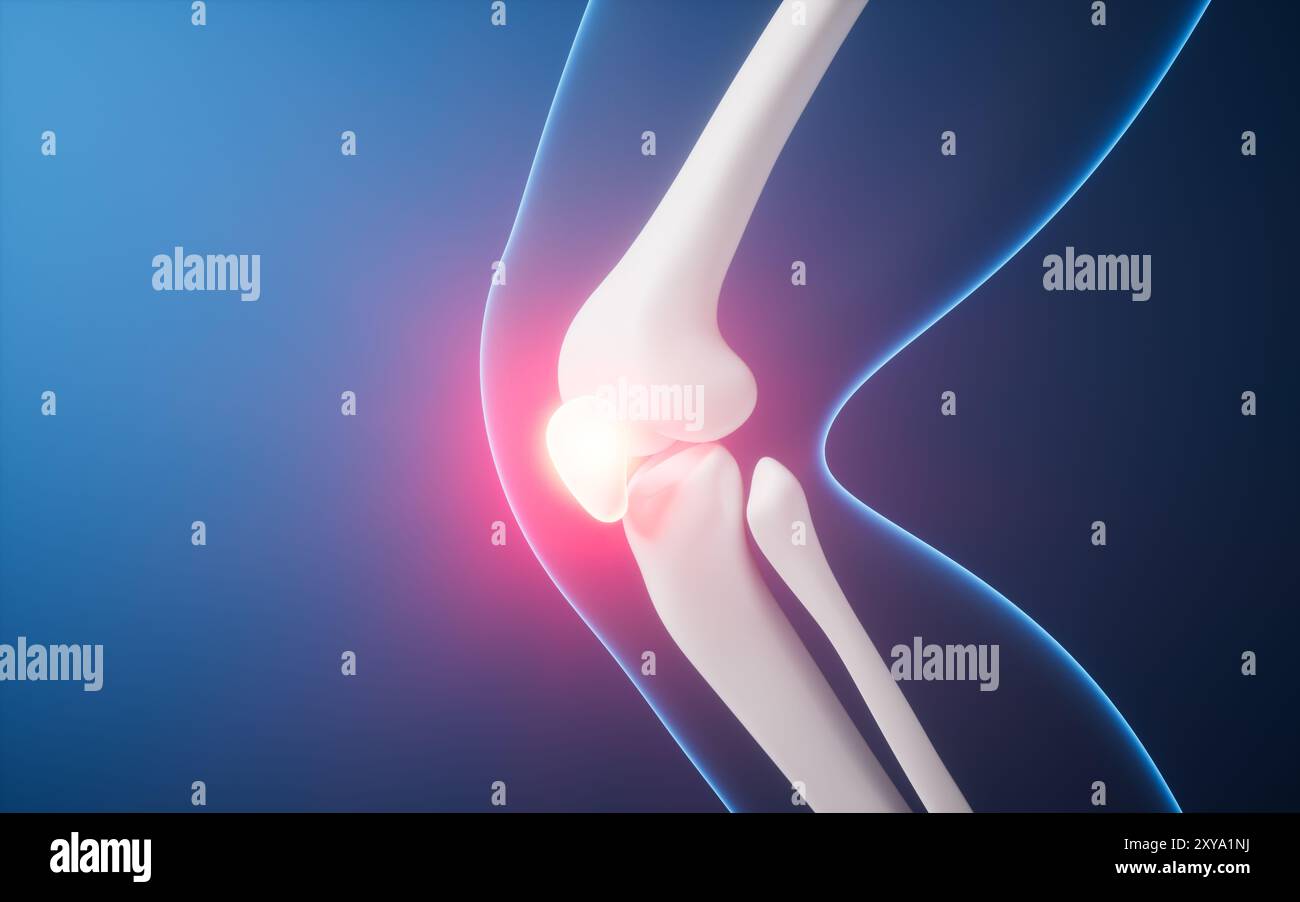 Osso della gamba nel corpo umano trasparente, rendering 3d. Illustrazione 3D. Foto Stock