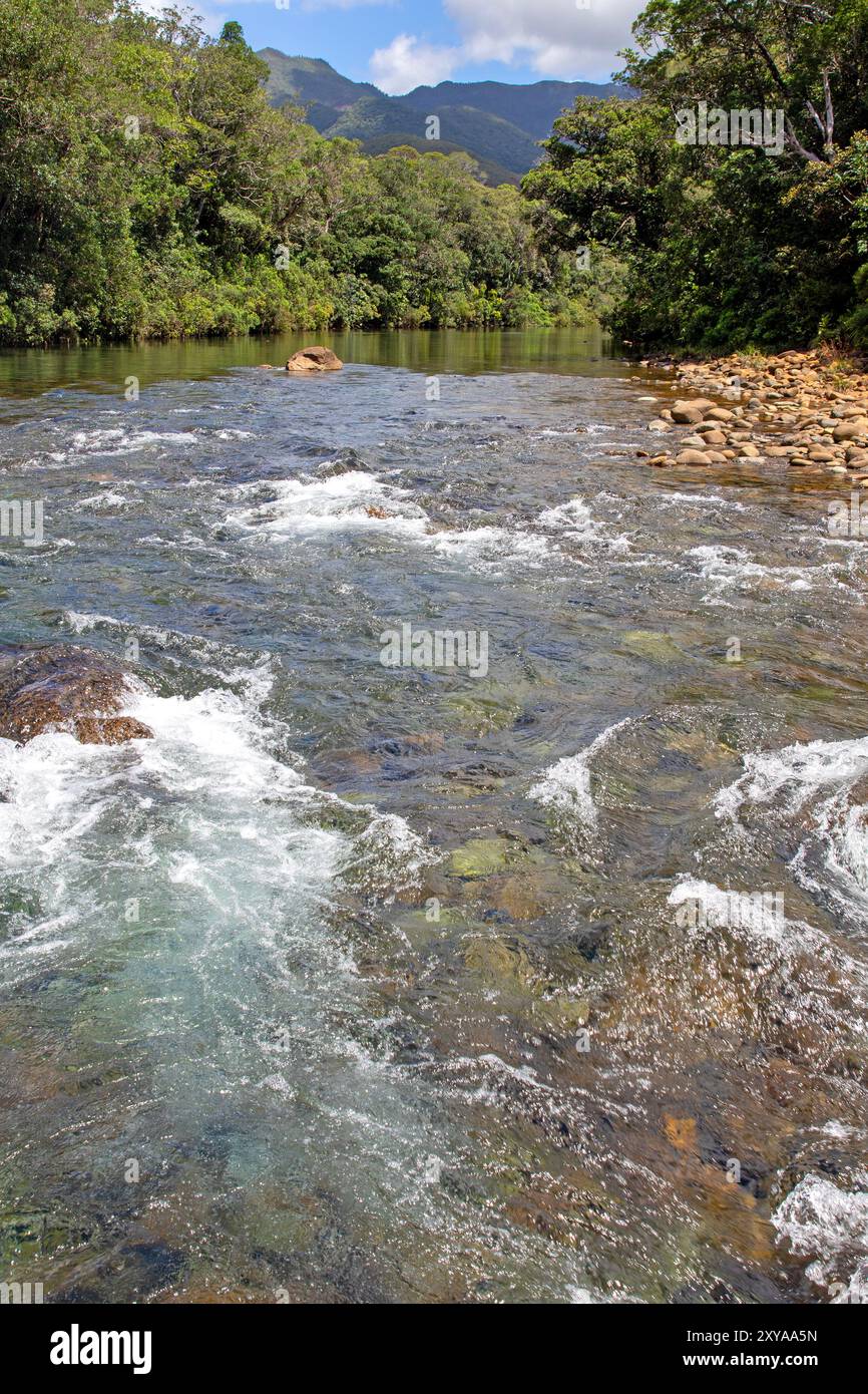 Blue River scorre attraverso il Blue River Provincial Park Foto Stock