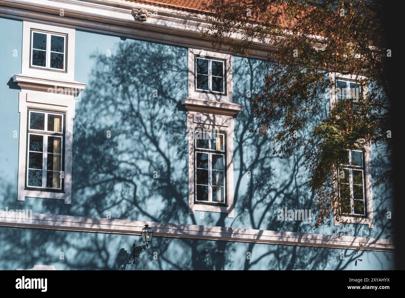 Albero che getta un'ombra su un muro blu a Lisbona, Portogallo Foto Stock