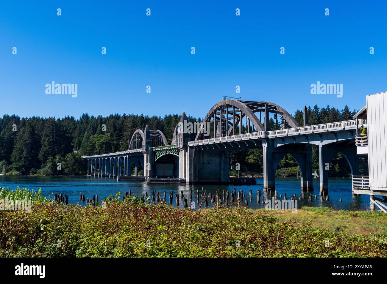 Firenze, O Stati Uniti - 11 agosto 2023: Ponte sul fiume Siuslaw Foto Stock