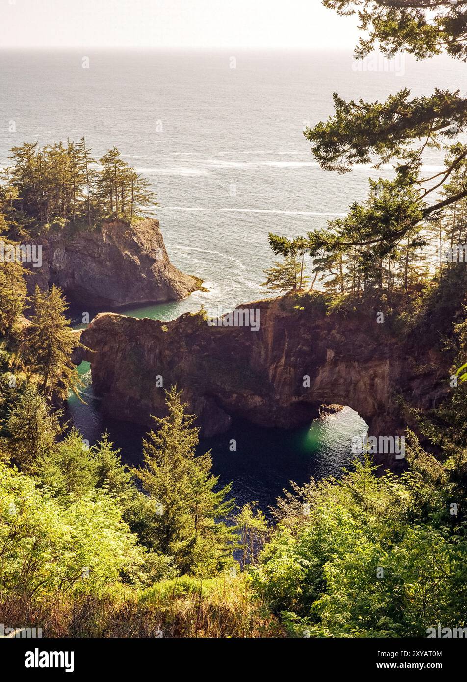 Un arco naturale è scolpito sulla costa rocciosa del Samuel Boardman State Park lungo la costa dell'Oregon. Foto Stock