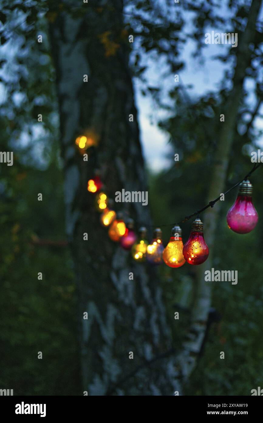 Stringa di luci appese sull'albero. Festa in giardino. Luogo romantico. Lampadine colorate. Atmosfera serale, atmosfera festosa. Week-end, vacanze o ogni Foto Stock