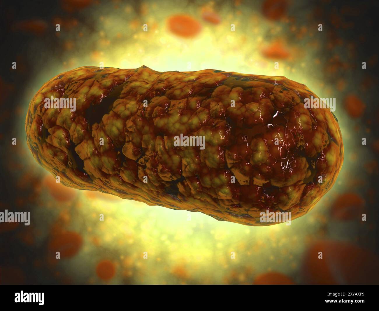 Vista microscopica di Yersinia. Yersinia è un batterio gram-negativo, a forma di asta della famiglia Enterobacteriaceae Foto Stock