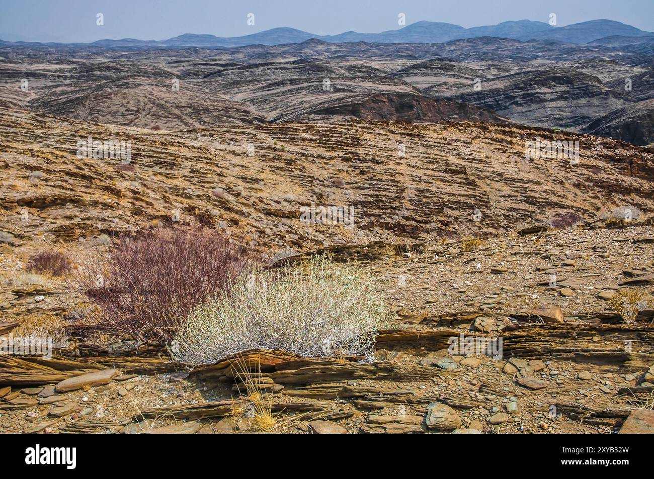 Il drie, paesaggio roccioso e inospitale del Namib Nauklauft National Park in Namibia con pochissime vegitazioni, per lo più succulente Foto Stock