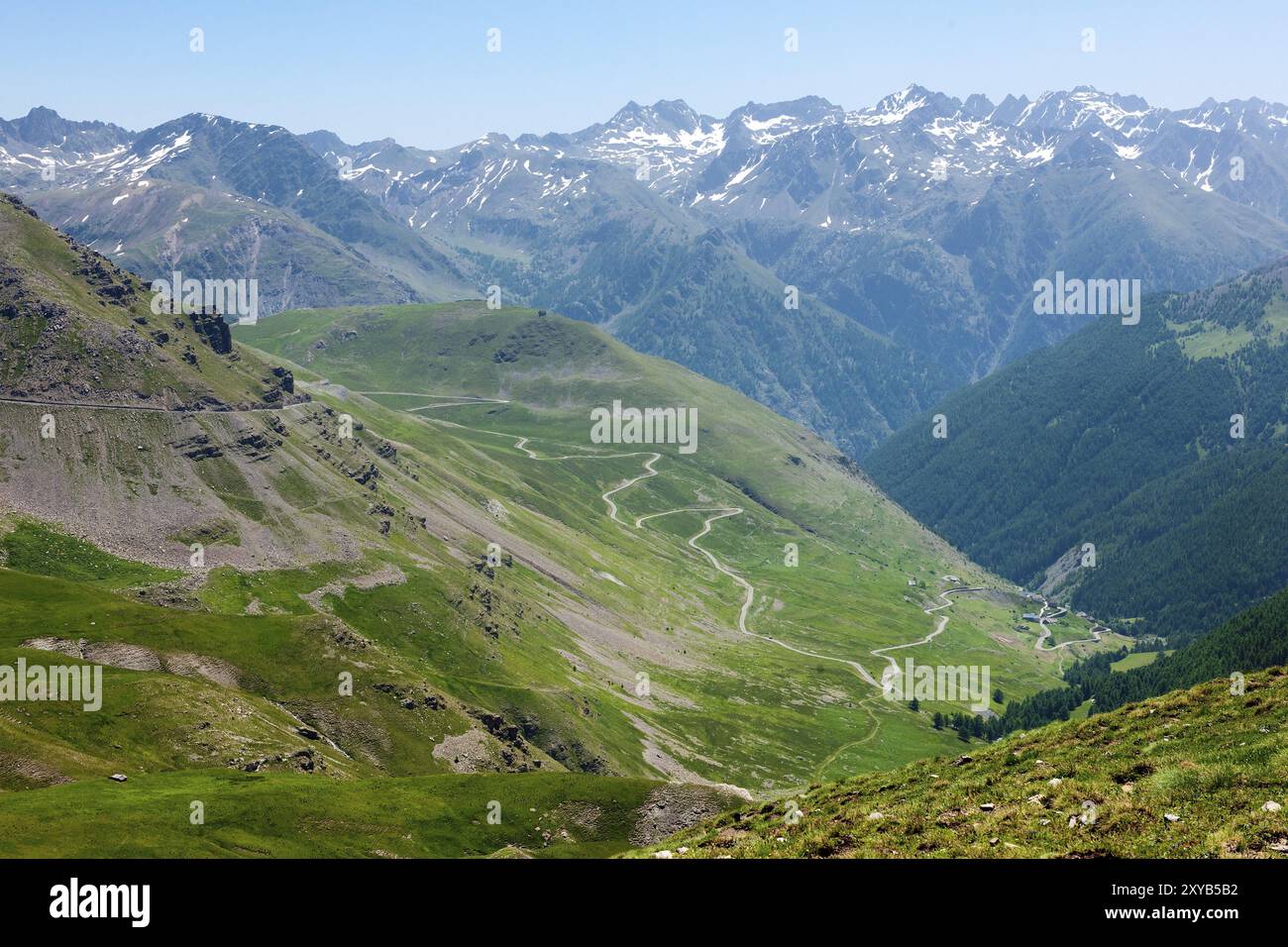 Veduta della strada in alta Alpi strada di montagna strada alpina sopra la linea degli alberi passo passo passo alpino col des Granges comuni col de Raspaillon, sud-est Foto Stock