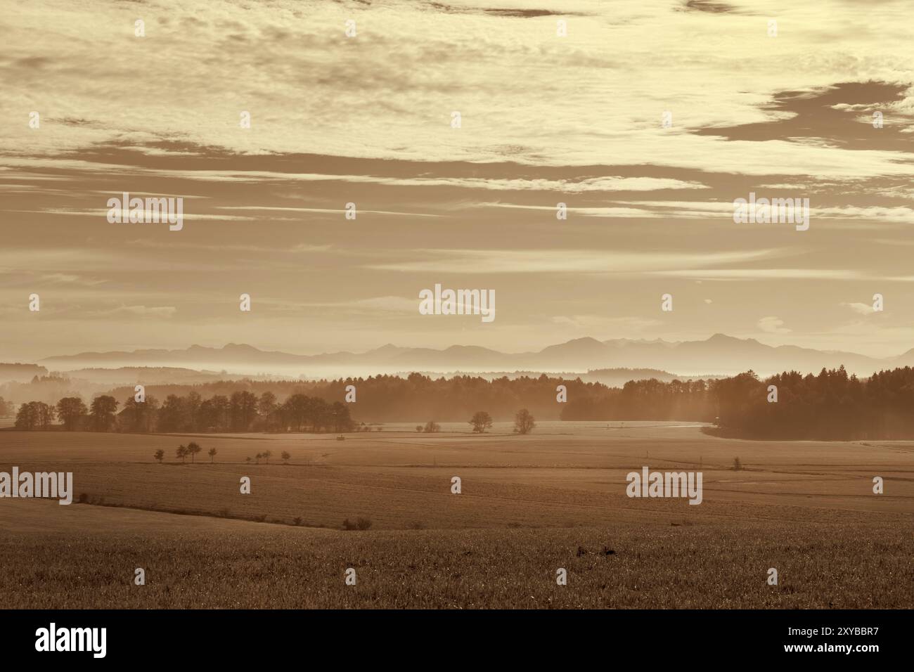 Nebbia di mattina delle colline ai piedi delle Alpi, Bavaria Foto Stock