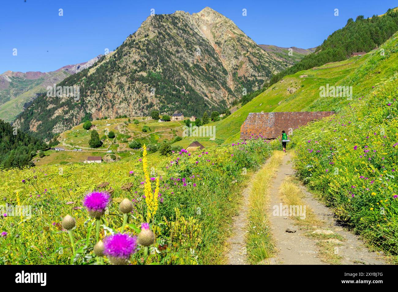 Aziende agricole Biadós, Viados, valle Añes Cruces, parco naturale Posets-Maladeta, Huesca, catena montuosa dei Pirenei, Spagna Foto Stock