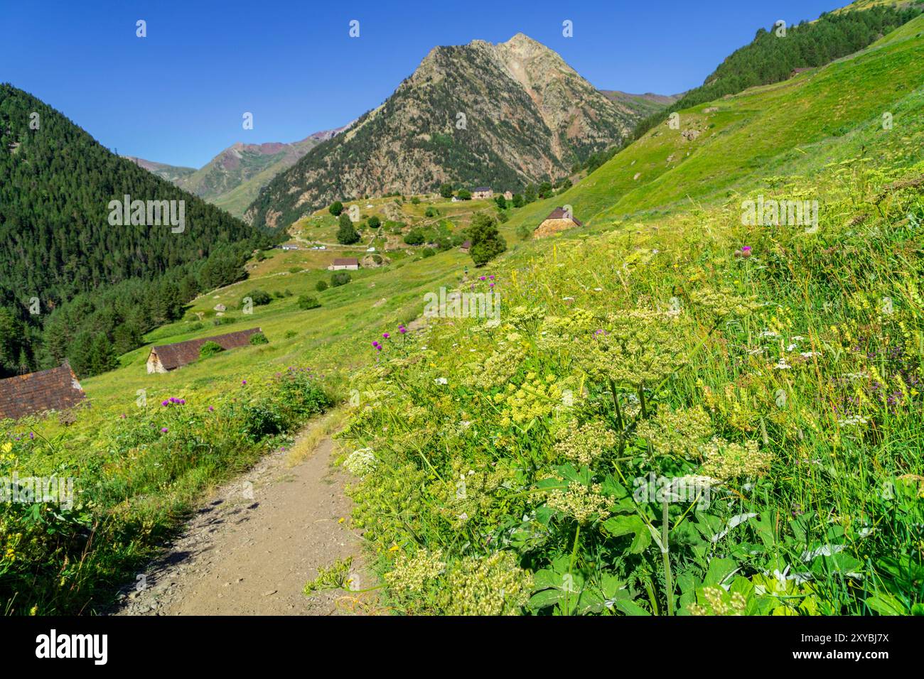 Aziende agricole Biadós, Viados, valle Añes Cruces, parco naturale Posets-Maladeta, Huesca, catena montuosa dei Pirenei, Spagna Foto Stock