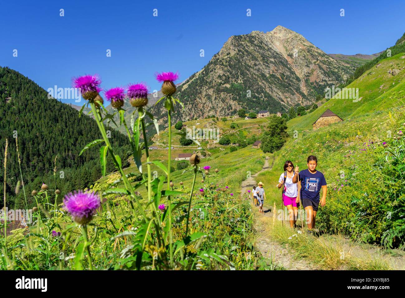 Aziende agricole Biadós, Viados, valle Añes Cruces, parco naturale Posets-Maladeta, Huesca, catena montuosa dei Pirenei, Spagna Foto Stock