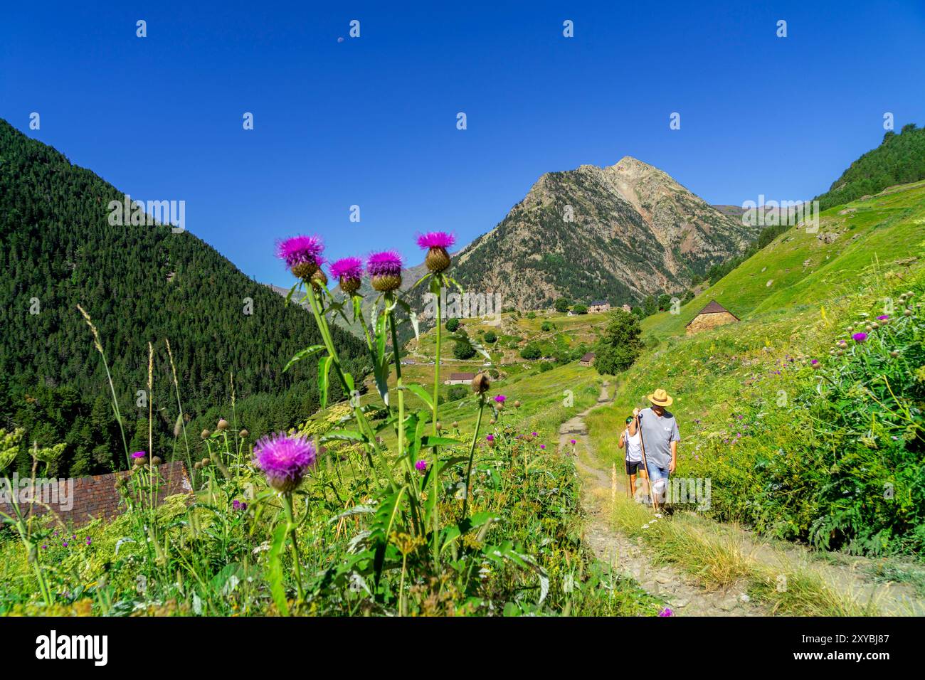 Aziende agricole Biadós, Viados, valle Añes Cruces, parco naturale Posets-Maladeta, Huesca, catena montuosa dei Pirenei, Spagna Foto Stock