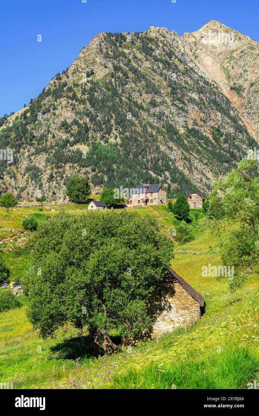 Aziende agricole Biadós, Viados, valle Añes Cruces, parco naturale Posets-Maladeta, Huesca, catena montuosa dei Pirenei, Spagna Foto Stock