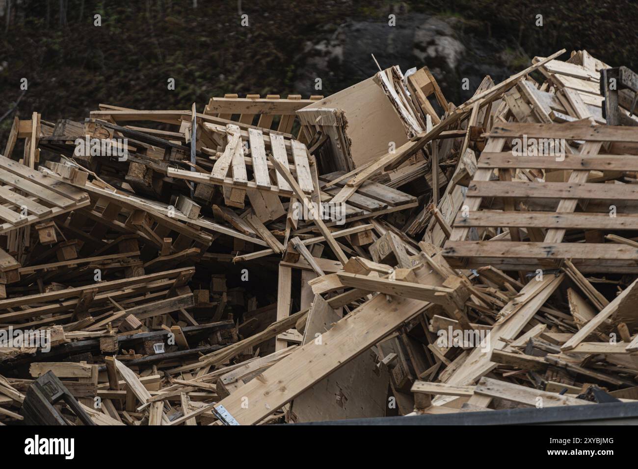 Distrutto pallet di legno in una discarica Foto Stock