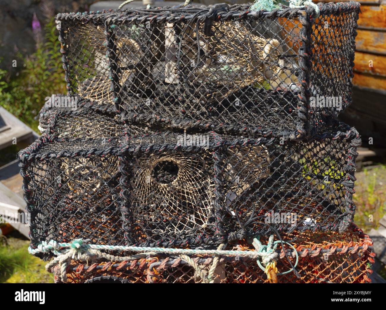 Gabbie di granchio al sole presso un molo Foto Stock